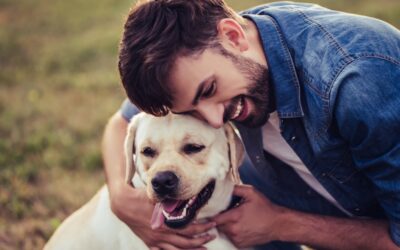 3 Reasons Why an Established Relationship with Your Pet Care Team Matters