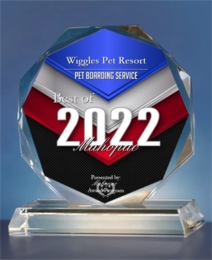 2022 Best of Mahopac Award trophy