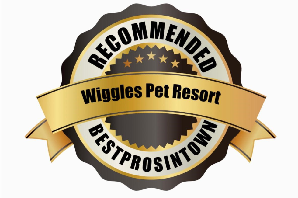 Premier Pet Care Services in Mahopac, NY Wiggles Pet Resort